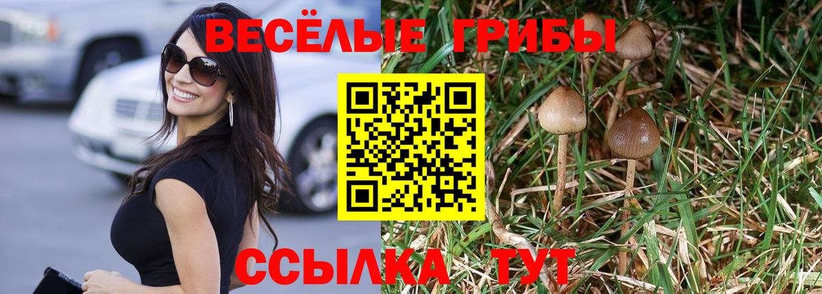 Галлюциногенные грибы прущие грибы  Вход с VPN  Сосновый Бор 